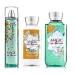 Bath Body Works Magic in the Air Mist  Lotion and Shower Gel