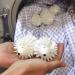 2 Pieces Dryer Balls Whit Plastic Hedgehog Reusable Laundry Ball Household Washing Machine Hedgehog Hedgehog-Shaped PVC Laundry Cleaning Balls for Washing Machine Home School - Buy Online on SooperMarket.com