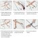EuTengHao 440Pcs Ribbon Bracelet Kit - Jewelry Findings Supplies with Ribbon Ends, Lobster Clasps, Jump Rings - Gold and Silver - Buy Online on SooperMarket.com