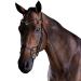 Collegiate 2021 Comfitec Crystal Bridle 80770 - Black - Warmblood