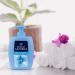 Felce Azzurra Liquid Soap White Musk - Fresh Citrus Fragrance - 2 Pack (300 ml each) - International Shipping Available - Buy Online on SooperMarket.com