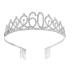 Minkissy 60th Birthday Tiara Crystal Crown Rhinestone Princess Birthday Crown Hair Accessories Happy 60th Birthday Crown Tiara for Women Ladies