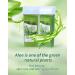 Sensitive Skin Roller Waxing Kit with Aloe for Hair Removal | At-Home Waxing Kit for Arms, Legs, and Body | Men and Women - Buy Online on SooperMarket.com