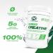 PVL 100% Pure Creatine - Creatine Monohydrate Micronized Powder - Creatine Powder Supplement for enhanced high-intensity performance - 1000 g - 200 Serving 200 Servings (Pack of 1) - Buy Online on SooperMarket.com