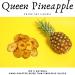 3.5 oz Dehydrated Pineapple Slices - Large Batch of Over 20 Dried Pineapple Fruit Pieces for Cocktails & Garnishes - Buy Online on SooperMarket.com