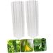 Toddmomy 2pcs Vegetable Shaping Clear Fruit Vegetable Maker Cucumber Shaper Square - Buy Online on SooperMarket.com