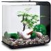 Buy Biorb 55026 Decor Set 15L - Realistic Artificial Aquatic Plants Roots & Stones for Freshwater & Saltwater Aquariums - Perfect Summer Decoration - Buy Online on SooperMarket.com