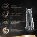 Sheba Sauce Lover - Premium Cat Food Variety Pack (32 x 85g) | Salmon Tuna Chicken & Duck - MSC Certified - Buy Online on SooperMarket.com