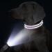 Buy Tagme Personalized Purple Dog Collar for Small Dogs | Embroidered Reflective Nylon with Pet Name & Phone Number - International Shipping Available - Buy Online on SooperMarket.com