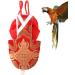 Buy MipCase Mini Windel for Birds | Reusable Parrot Inner Shell & Pigeon Clothing - Eco-Friendly | Best Care for Nymphensittich & Kaisersittiche - Buy Online on SooperMarket.com