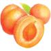 St. Ives Apricot Facial Scrub 150ml - Exfoliating and Refreshing Formula - Buy Online on SooperMarket.com