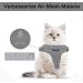 Buy Supet Cat Dishes & Line Set for Fleeing Kittens | Premium Cat Crockery - International Shipping Available - Buy Online on SooperMarket.com