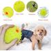 Laroo Dog Toys - Durable Natural Rubber Squeaker Football for Small & Large Dogs (6.5cm Green) - International Shipping Available - Buy Online on SooperMarket.com