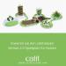 Catit Play Circuit - Interactive Cat Toy for All Sizes | Engaging Fun for Your Feline Friends - Buy Online on SooperMarket.com