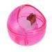 Nail Cleaning Brush Box | Dual Clean Nail Art Drill Head & Polishing Tool Perfect for Dust Removal and Manicure? - Buy Online on SooperMarket.com