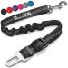 Seat Belt for Dogs with Elastic Bungee Buffer | Car Travel Accessories for Dogs Adjustible, Elastic Black