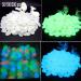 Pebbles 50/100/300pcs Glow in the Dark Garden Pebbles for Walkways Garden Decoration Glow Pebbles Plants Aquarium Luminous Stones Decorative Pebbles (Color : Blue Size : 50 PCS) 50 PCS Blue - Buy Online on SooperMarket.com