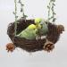WACURRENTHYD Natural Rattan Nest Small Medium Large Bird Swing for Parrot Parakeet Cockatiel Conure Cockatoo Macaw Amazon African Grey Lovebird Finch Canary Budgie Cage Perch Toy (Small) - Buy Online on SooperMarket.com