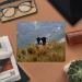 Buy 2 x 'Border Collie in the Bushes' Microfiber Lens Cloths - Perfect for Glasses - Fast International Shipping - Buy Online on SooperMarket.com