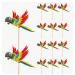Colorful Parrot Bird Birthday Party Food Cupcakes Picks Decorations (14 Pack)