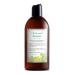 Just Nutritive Men's Gray Hair Shampoo | Remove Yellowing or Brassy Tones with No Sulfates | Natural Ingredients | Gray Hair Treatment | 8 oz.