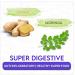 BLUE TEA - Ginger Moringa Herbal Tea - 36 Tea Bags (Pack of 2) |HEALTHY SUPERFOOD | Blend of Indian Ginger and Fresh Moringa | Caffeine Free | Eco-Sustainable Packaging - Buy Online on SooperMarket.com