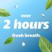 Smint Sugar Free Mints 2 Hour Clean Breath 50 XXL Peppermint Flavour - 12 Tins - Buy Online on SooperMarket.com