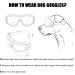 Tsathoggua Dog Goggles Dog Sunglasses with Elastic Strap UV Pet Goggles Protect Dog's Eyes for UV Wind Dust and Fog Medium/Large Breed - Buy Online on SooperMarket.com