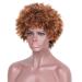 SHIYID Short Blonde Curlys Synthetic Brown Kindy Curly Wig for womenHeat Resistant High Temperature African American Hair