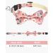 Shop Tagme Cats Collars - Personalized Name & Phone Number Safety Closure & Bell - Baby Pink Kitten Neck Band - 1 Pack - Buy Online on SooperMarket.com
