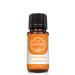 NEW: Saintnutrition Anti tick globules for dogs and cats - natural treatment for your pet with immediate effect - protection of protection