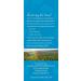 Kauai Coffee Koloa Estate Medium Roast Hawaiian Premium Ground Coffee 283g Bag - Buy Online on SooperMarket.com
