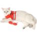 Ranphy Cat Dishes & Breakproof Reflective Chest Harness for Small Cats | Soft Fabric Puppy Dishes | XS Red - Perfect for Cats & Dogs - Buy Online on SooperMarket.com