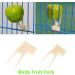 Anteer 12 Pack Bird Parrot Swing Chewing Toys - Hanging Bell Cage Toys for Small Parakeets, Cockatiel, Conures, Finches, Budgie, Macaws, Parrots, Love Birds - Buy Online on SooperMarket.com