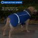 Reflective Waterproof Dog Winter Jacket with Thicken Fleece Lining - Blue - Medium - Buy Online on SooperMarket.com