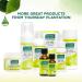 Thursday Plantation Tea Tree Antiseptic Antibacterial Cream - 3.5 oz - Buy Online on SooperMarket.com