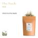 High-Quality Pine Needle Tea - 100g | Natural Pine Branches & Needles for Health Benefits - Buy Online on SooperMarket.com