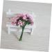 ABOOFAN 24 Pcs Pink Manual Green Plants - Buy Online on SooperMarket.com