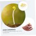 Alipis 200 Pcs Bean Sprouts Toy Bean Sprout Prop Faux Veggies Plastic Models Stress Reliever PVC Fake Food Assorted Color1x4pcs 10X5CMx4pcs - Buy Online on SooperMarket.com