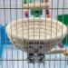 Bird Cage Nest Cotton Weave Hemp Rope Bird House Bed Hatching Nesting Box with 2 Fixing Screws Parrot Cage Hatching Nesting Box for Budgie Cockatiel Lovebird - Buy Online on SooperMarket.com