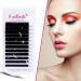 Professional Classic Eyelash Extensions - 0.20mm C Curl Mix (8-14mm) - Natural Black Individual Lashes - Buy Online on SooperMarket.com