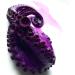Red Cabbage Powder | Water Soluble Food Dye | Net weight: 1.76oz/50g - Amazing in the Kitchen or for Cocktails! Makes Colour-changing Beverages and Dishes in Red Or Magenta Pink Purple Blue - Buy Online on SooperMarket.com