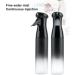 Yinhing Spray Water Bottle 300ml Hair Mist Sprayer Continuous Spray Bottle for Hair and Plants Mist Atomizer for Styling Cleaning Salons Face Ultra Fine Water - Buy Online on SooperMarket.com