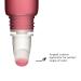Clarins Natural Lip Perfector 02 - Apricot Shimmer | 0.35 oz | Moisturizing Lip Gloss - Buy Online on SooperMarket.com