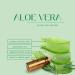 100% Pure Aloe Vera Oil - 4oz | Best Quality for Skin & Hair | Shop Internationally - Buy Online on SooperMarket.com