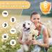 Repellent Collars for Dogs Repellent Collar for Dogs Adjustable Water Resistant repellent Collar Dog Natural Dog repellent Collars for Puppies Small Medium Large Dogs Blue 2pack - Buy Online on SooperMarket.com