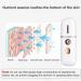 Dacvgog Portable Facial Steamer Mini USB Facial Humidifier Nano Facial Sprayer Spray Machine - Buy Online on SooperMarket.com