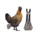 Pet Duck Goose Diapers, Adjustable Cloth Nappy Poultry Costume Diaper Portable Washable Clothing for Hen Chicken S Leopard