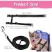 Yutou Soft Cat Dishes & Adjustable Leash Set - Outbreak-Proof Harness for Kittens Puppies & Rabbits - Buy Online on SooperMarket.com