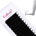 Fadlash Easy Fan D Curl 0.03 17mm Single Lashes - Natural Russian Eyelash Extensions - Buy Online on SooperMarket.com